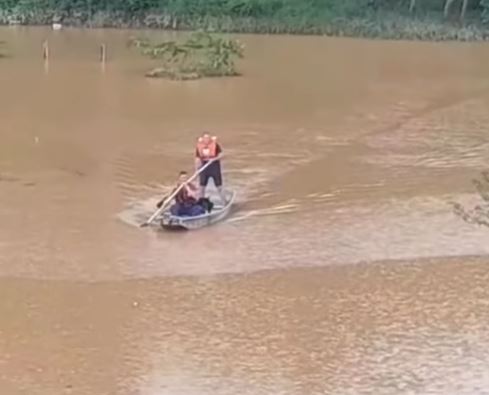 Cachorro ilhado é resgatado em cima de telhado em Blumenau