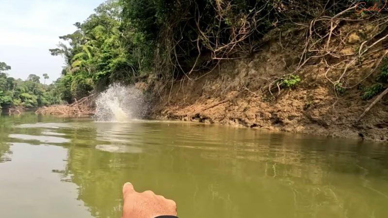 Pescador se assusta com mergulho de animal bem perto de onde ele estava – Foto: Reprodu&ccedil;&atilde;o