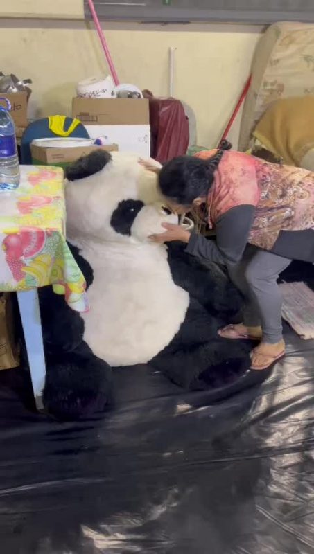 FRAME – Luiza mostra o que trouxe de casa para o abrigo, inclusive o urso panda da bisneta – Foto: Isabela Corr&ecirc;a/NDTV