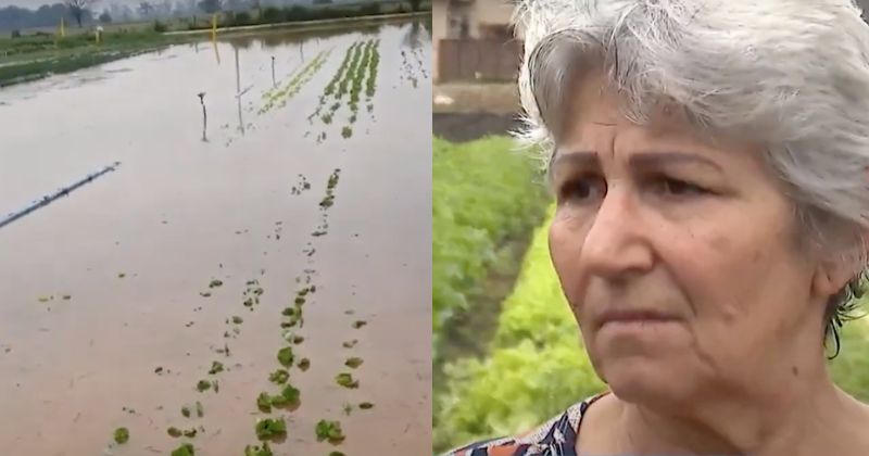 Agricultores teme que situação de 2011 se repita