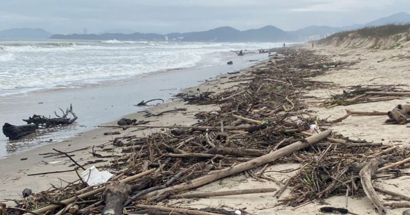 Praia de Navegantes amanheceu repleta de galhos – Foto: Reprodu&ccedil;&atilde;o/NDTV