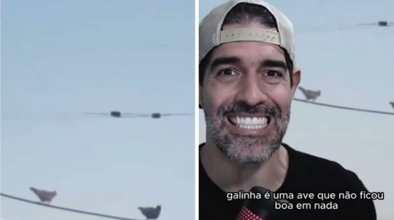 Com vídeo curioso de fuga em massa, biólogo descreveu algumas das aptidões das galinhas, ou a falta delas - Foto: Redes Sociais/Divulgação/ND