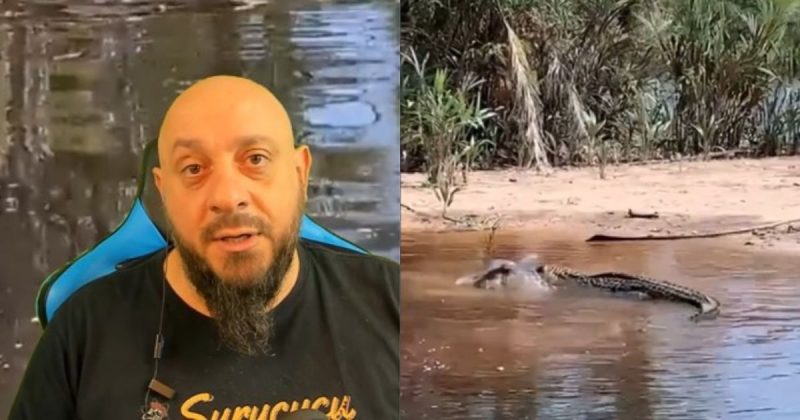 Animal foi predado por réptil na floresta brasileira e biólogo ficou impressionado com a cena - Foto: Redes Sociais/Divulgação/ND