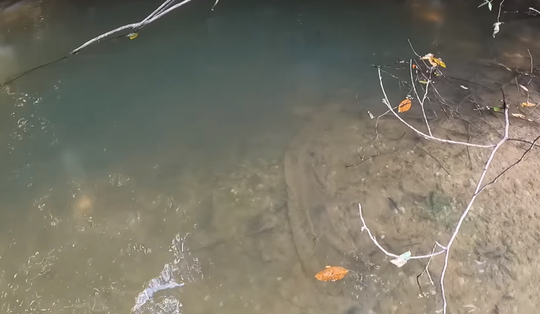Casa da sucuri gigante interrompeu o lanche de pescadores – Foto: Fabio Fregona/YouTube/ND
