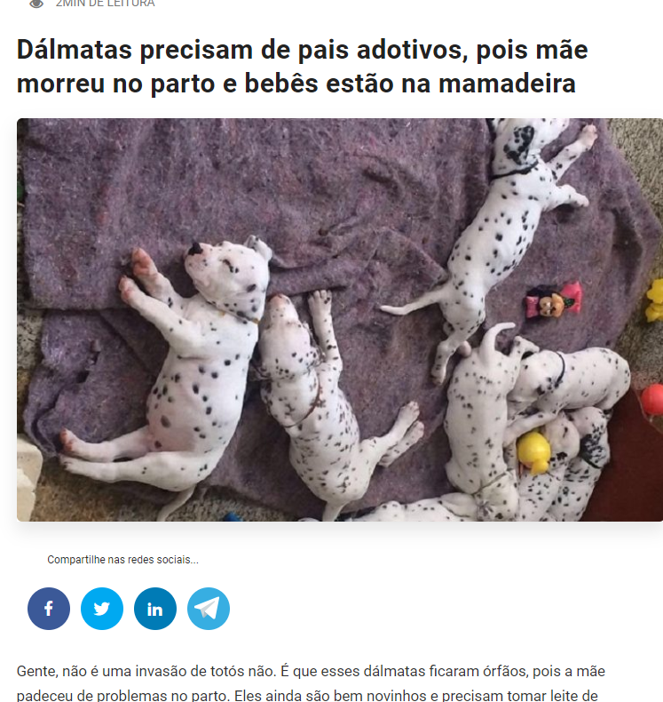 Mat&eacute;ria afirma que m&atilde;e dos D&aacute;lmatas teria morrido no parto – Foto: Reprodu&ccedil;&atilde;o/ND