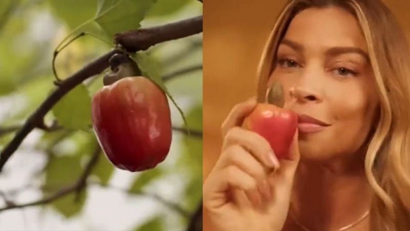 Caju invertido virou polêmica nas redes