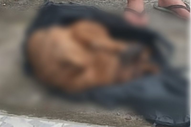 Cão ficou gravemente ferido após agressões