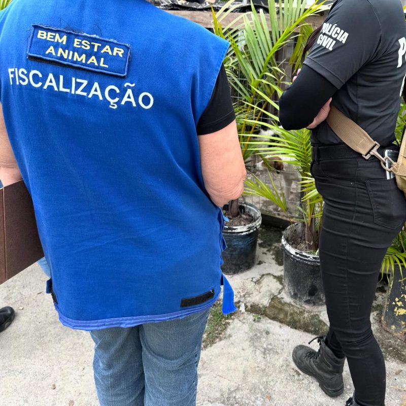 Ação da Dibea Palhoça e DPA (Divisão de Proteção Animal da Polícia Civil) resgatou quatro cães vítimas de maus tratos animais 