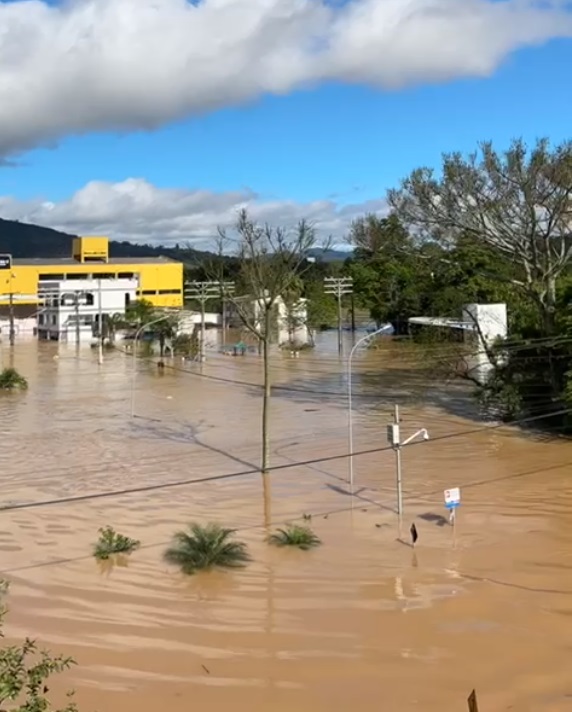 Cachorro é resgatado em meio à enchente 