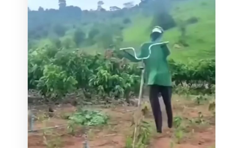 Boneco se movimenta como se fosse uma alma penada e assusta at&eacute; gente – Foto: Reprodu&ccedil;&atilde;o