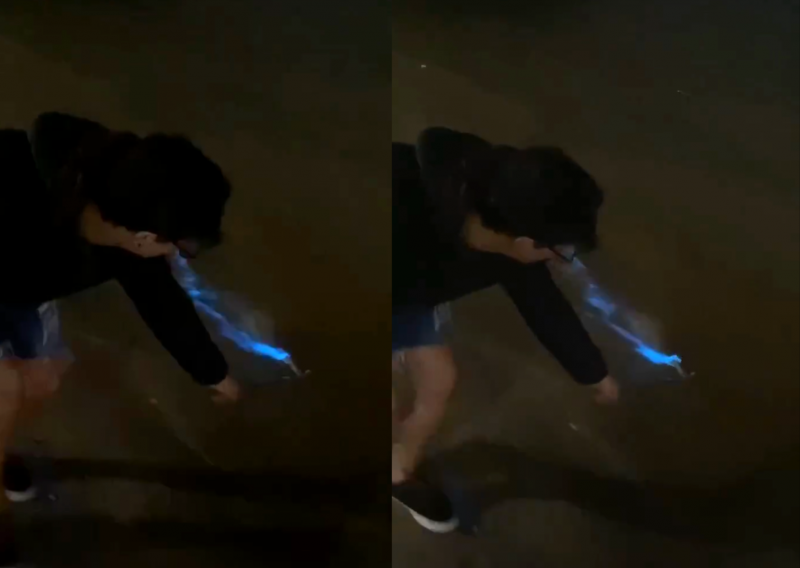 Florianópolis deslumbra moradores com espetáculo da água azul brilhante