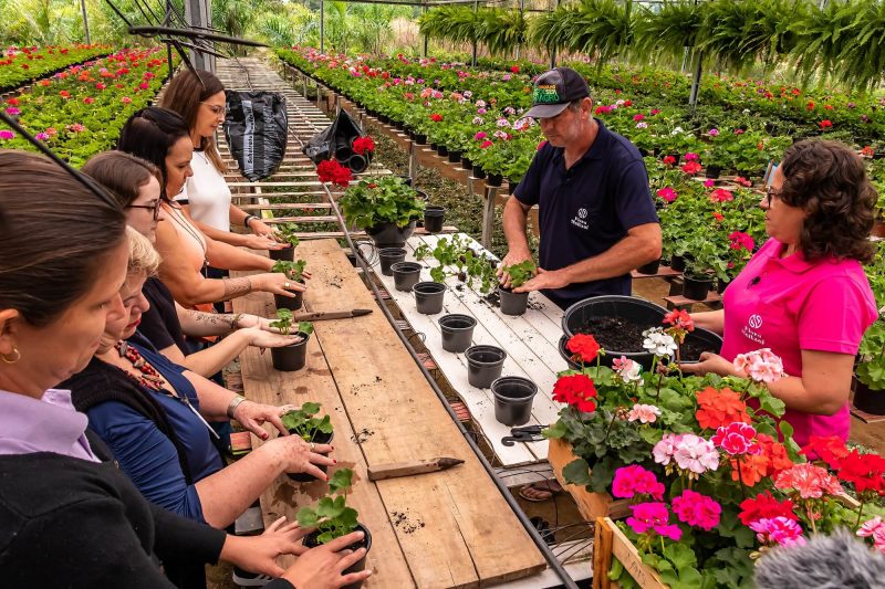 Foto da estufa da Flora Neitzel, em Joinvile. Seis mulheres e um homem estão em torno de uma mesa plantando mudas de flores em pequenos vasos. Ao fundo aparecem muitos outros vasos de flores coloridas e folhagens suspensas no teto da estufa. 