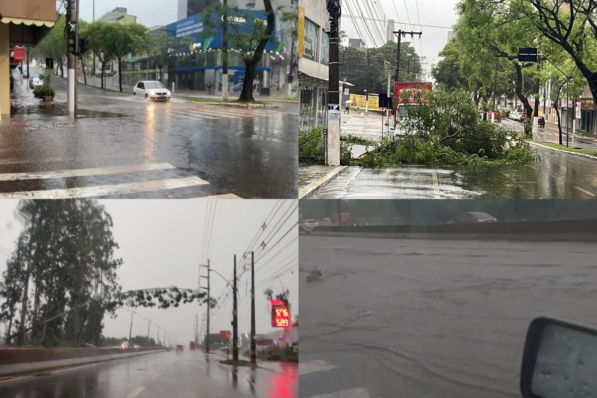 Temporal causa estragos em Chapecó e registra 103 mm em 6h