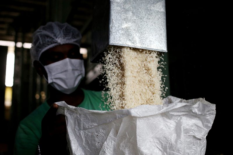 O arroz que consumimos em casa e nos restaurantes, emprega e gera renda para mais de 50 mil fam&iacute;lias do Estado – Foto: Divulga&ccedil;&atilde;o