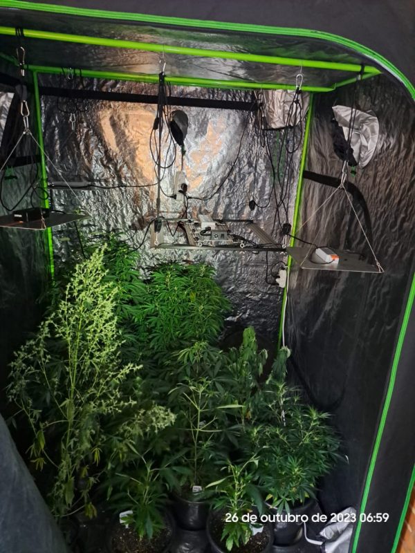 Equipes cumpriam mandados de busca e apreens&atilde;o quando encontraram laborat&oacute;rio caseiro em Timb&oacute;, nesta quinta-feira (26) – Foto: Pol&iacute;cia Civil/Divulga&ccedil;&atilde;o/ND