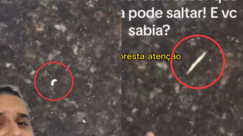 Larva em mesa de mármore dá salto de centímetros; na imagem da esquerda, ela se prepara para o pulo; na direita, está em movimento