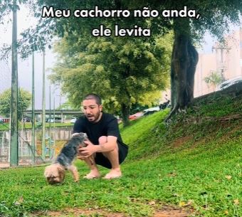 "Meu cachorro não anda, ele levita" diz o dono do animal