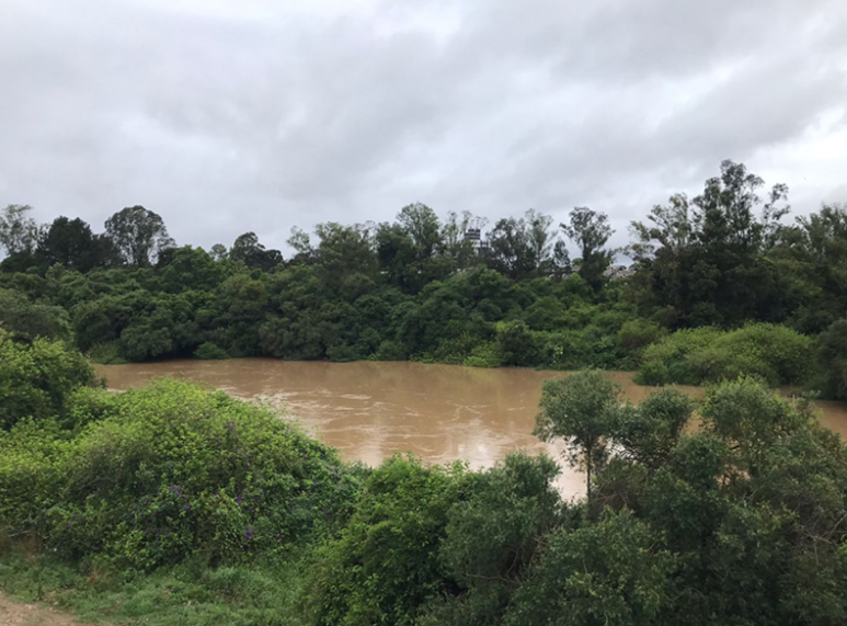Em 24 horas, o rio Negro subiu 2,245 metros, chegando a 5,728 metros &agrave;s 11h deste domingo (29) – Foto: Robson Komochena/Riomafra Mix