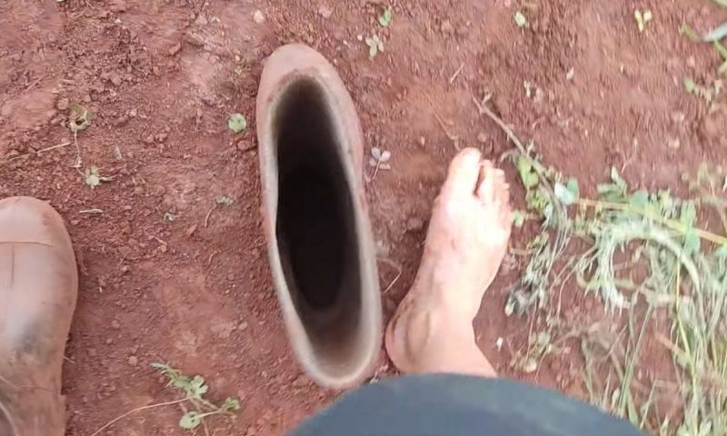 Marimbondo estava dentro da bota do azarado que havia escapado de cobra