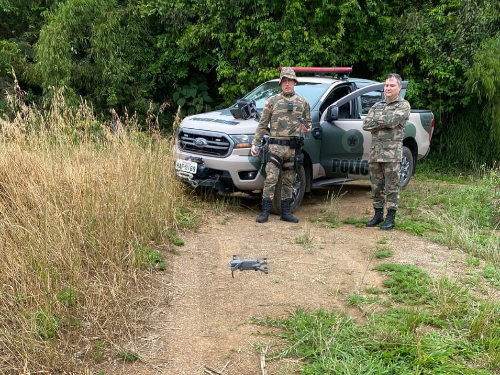 Fiscalização contra desmatamento aconteceu em 66 municípios de Santa Catarina