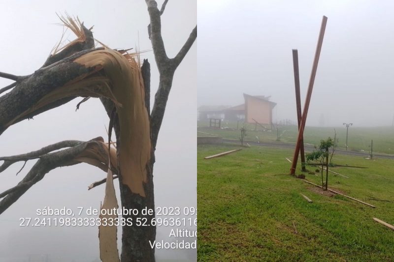 &Aacute;rvores foram dobradas ao meio e madeiras de mais de 100 quilos arremessadas – Foto: Defesa Civil/Divulga&ccedil;&atilde;o