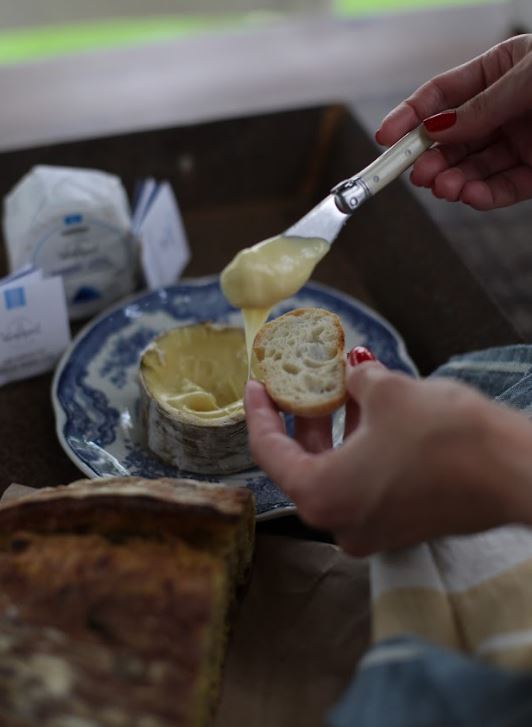 O queijo Morro Azul, produzido em Pomerode, ganhou a medalha de Super Ouro no&nbsp; World Cheese Awards – Foto: Bruna Gabriela Ziekuhr/ND