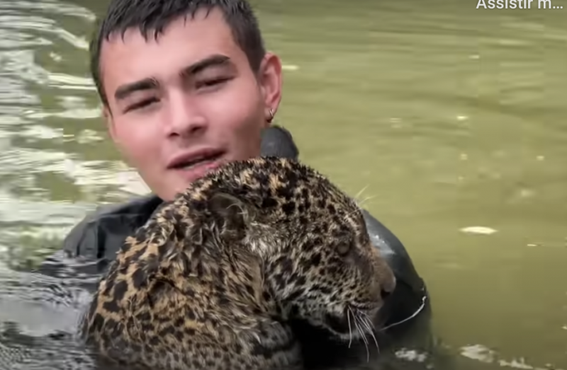 Animal arrancou suspiros na web – Foto: YouTube/Reprodu&ccedil;&atilde;o/ND