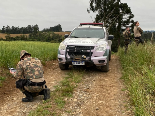 Operação Mata Atlântica em Pé fiscalizou alertas de desmatamentos em 66 municípios de Santa Catarina