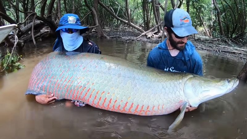 Ap&oacute;s o desafio, ele sustenta a presa gigante nas m&atilde;os – Foto: Ty PigPatrol/Divulga&ccedil;&atilde;o/ND