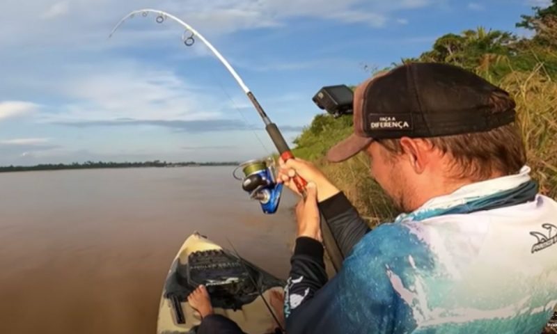 Cabeça de bagre no anzol fisgou peixe de grande porte e pescador tenta trazê-lo para o caiaque