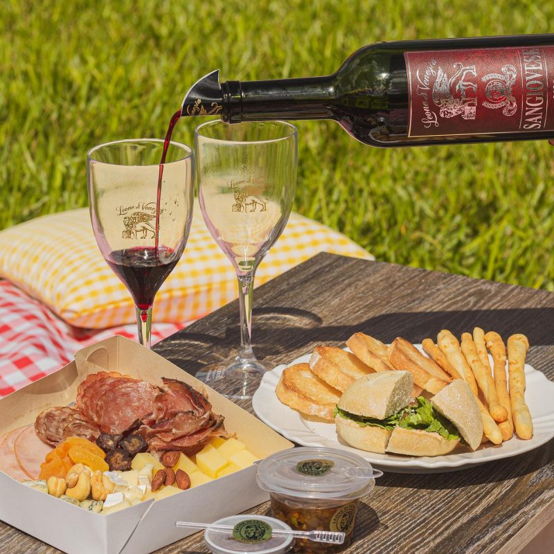 Vinícolas em São Joaquim: guia completo para curtir o melhor de cada uma