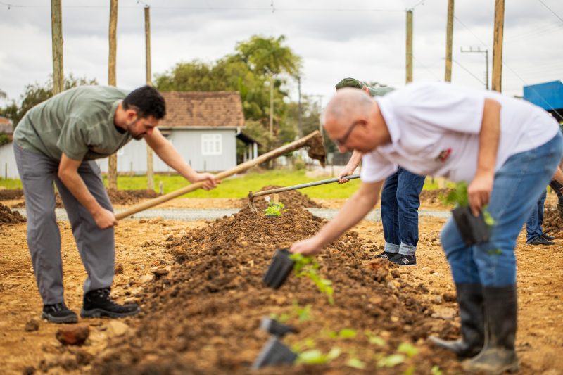 Os aromas que se sente ao abrir uma cerveja e o amargor que o paladar reconhece t&ecirc;m como grande respons&aacute;vel o l&uacute;pulo – Foto: OPA BIER/Divulga&ccedil;&atilde;o
