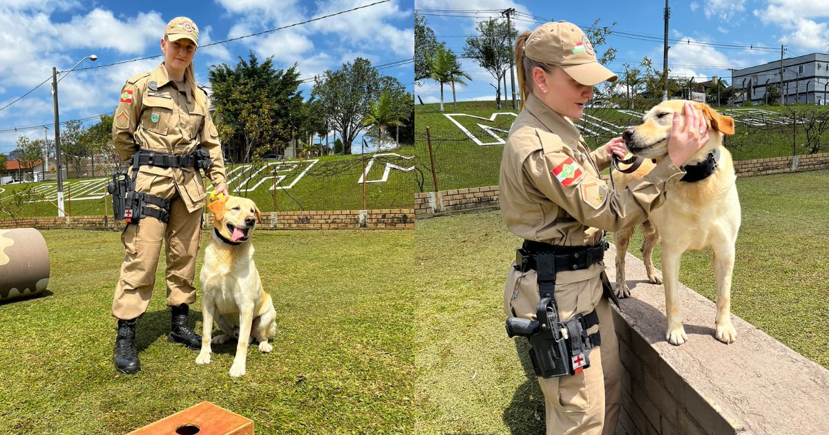 Soldado Katarine faz história e se torna 1ª mulher na Cavalaria da PM em  Criciúma