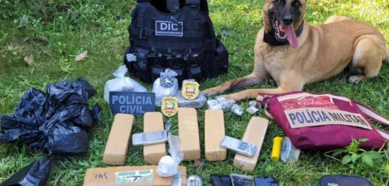 Os policiais apreenderam 4,6kg de maconha, 95 gramas de coca&iacute;na, 17 comprimidos de ecstasy, al&eacute;m de 14 aparelhos de celular – Foto: Pol&iacute;cia Civil/Divulga&ccedil;&atilde;o/ND