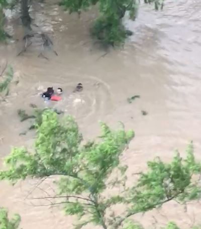 Video shows dramatic rescue of men clinging to tree during SA floods - Photo: Reproduction/ND