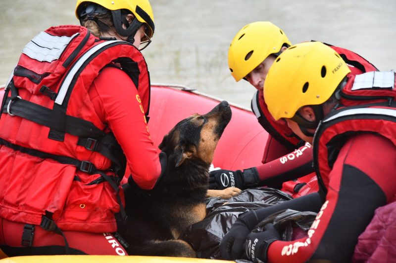 Cachorro também foi resgatado em Rio do Sul 