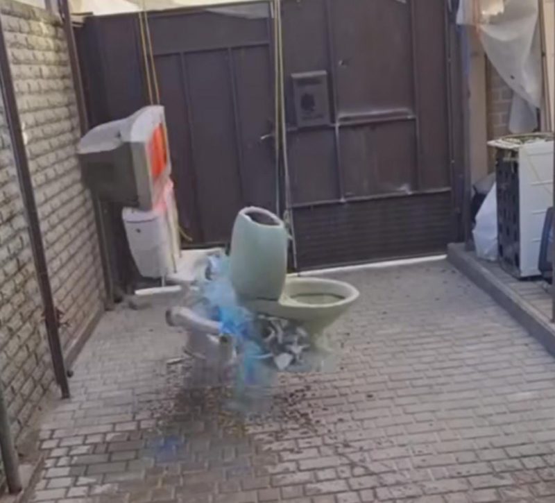 V&iacute;deos inusitados de rinha de privadas fazem sucesso na internet – Foto: Instagram/Reprodu&ccedil;&atilde;o/ND