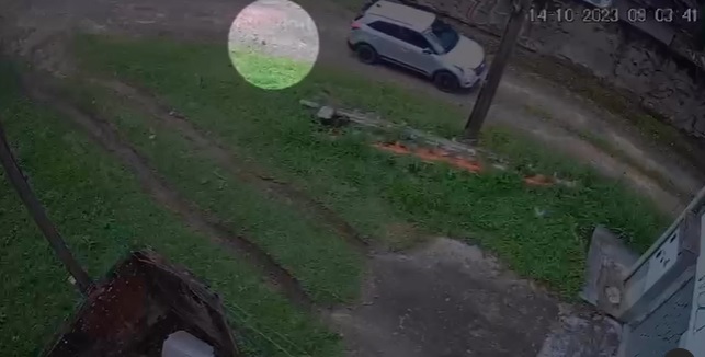 Câmera flagra momento em que cachorro é abandonado em Rio do Sul