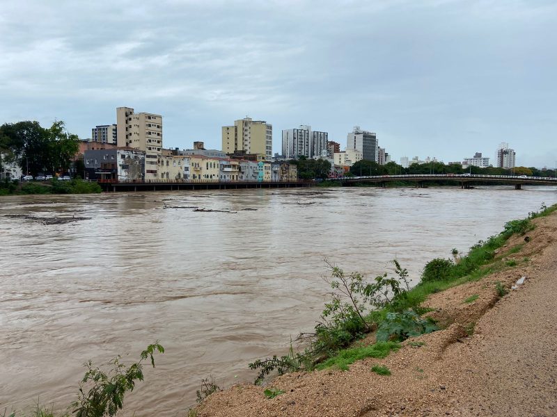 Rio Tubarão