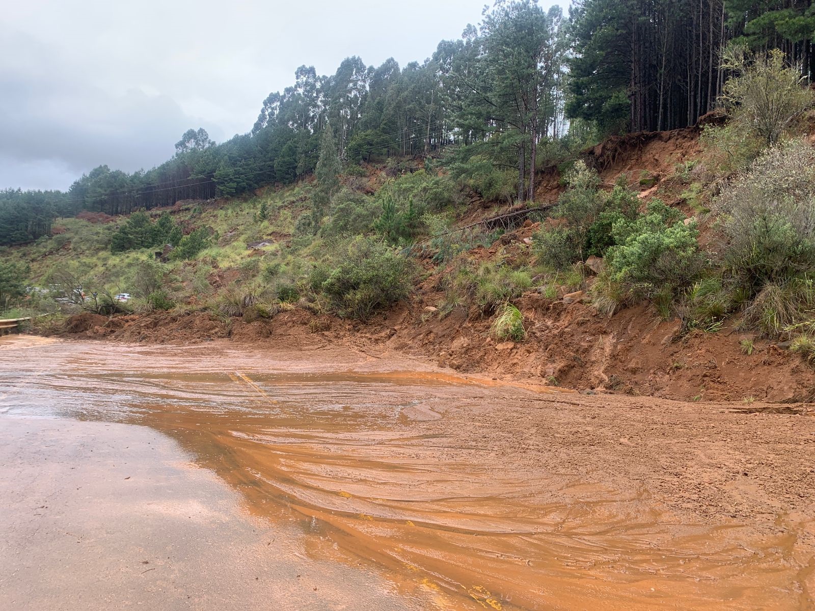 Liberado o tráfego para veículos leves na BR-280, na Serra de Corupá (SC) -  Estradas