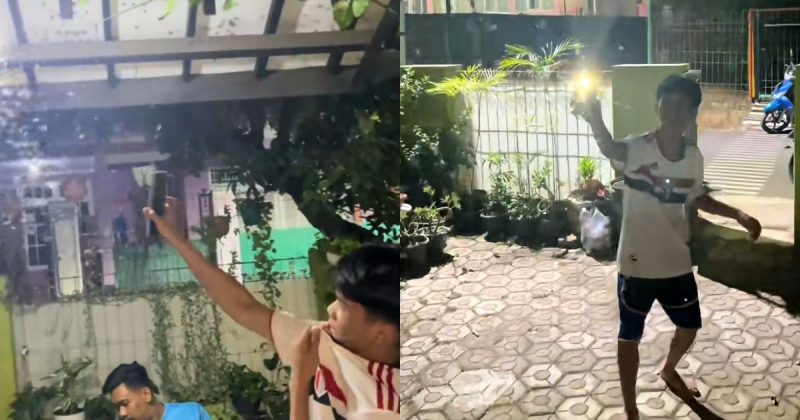 Jovem não precisou ferir os insetos