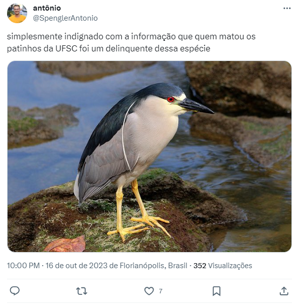 Usu&aacute;rios culpam soc&oacute;-dorminhoco pelo atentado – Foto: X/Reprodu&ccedil;&atilde;o/ND