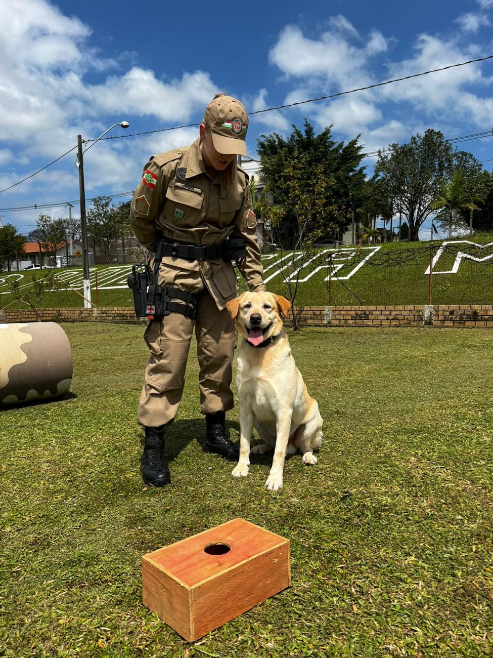 Soldado Katarine faz história e se torna 1ª mulher na Cavalaria da PM em  Criciúma