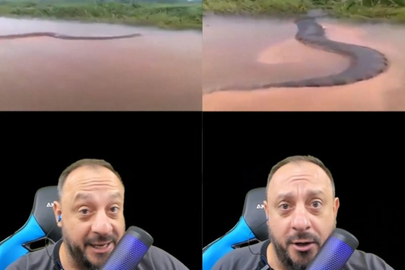 Biólogo Henrique reagiu ao vídeo da sucuri gigantesca
