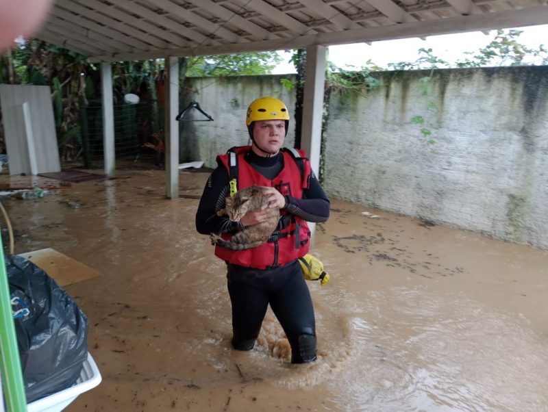 Chuvas deixam mortos em SC