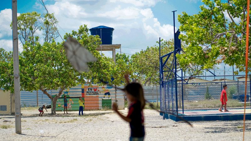 Sobreviventes devem migrar para o Brasil 