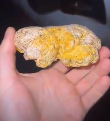 O "vômito de baleia" foi encontrado pela cachorra de um pescador 