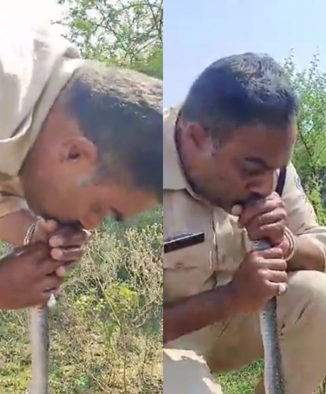 Homem ressuscita cobra com respiração boca a boca 