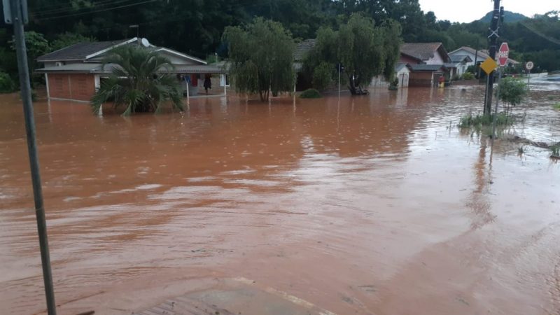 Casa fica alagada em distrito de Seara – Foto: Reprodu&ccedil;&atilde;o ND
