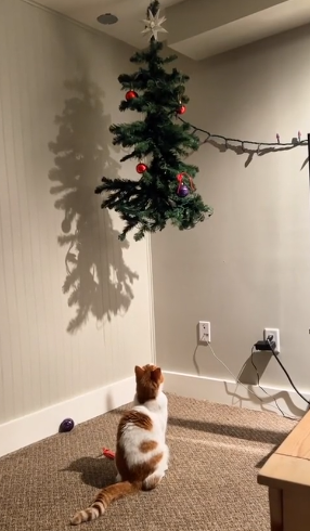 Even though the Christmas tree isn't hanging from the ceiling, it still suffers from cat attacks - Photo: Internet/Disclosure/ND